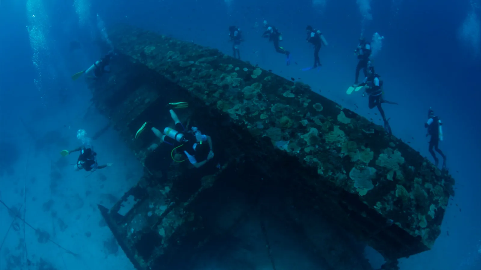 Divers above the wreck of the Rannamaari, a dredger sunk in 1999 and covered in coral.