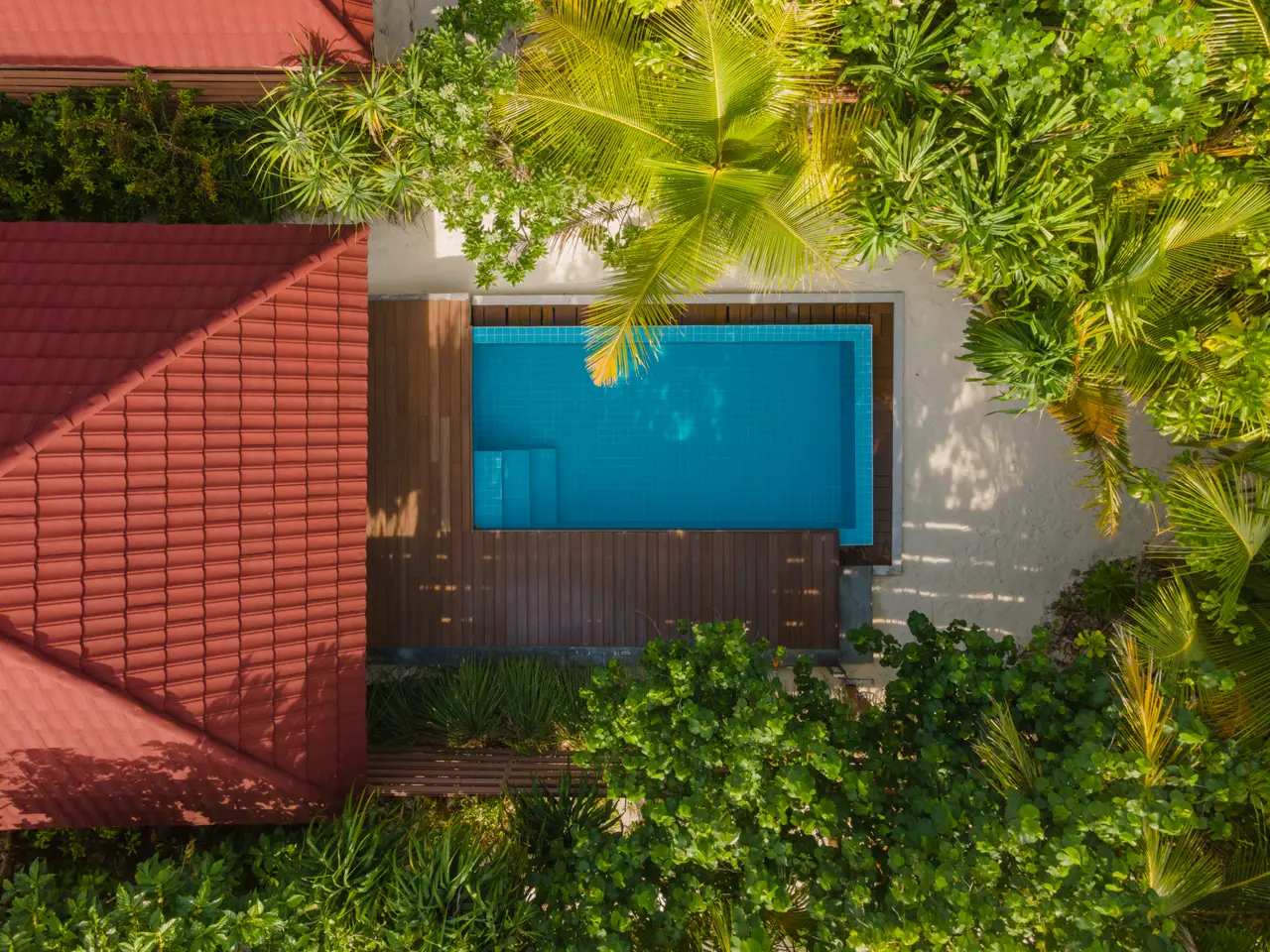A Pool Beach Villa’s plunge pool from above, between the wooden deck and the garden.