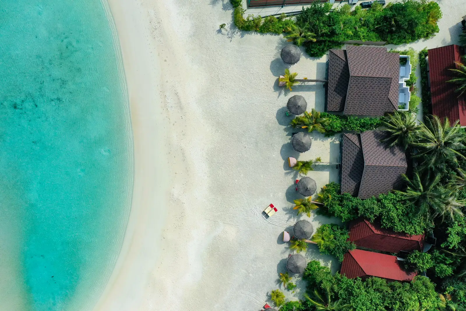 The roof of the Two Bedroom Family Beach Villa among the palms, with thatched parasols on the beach.