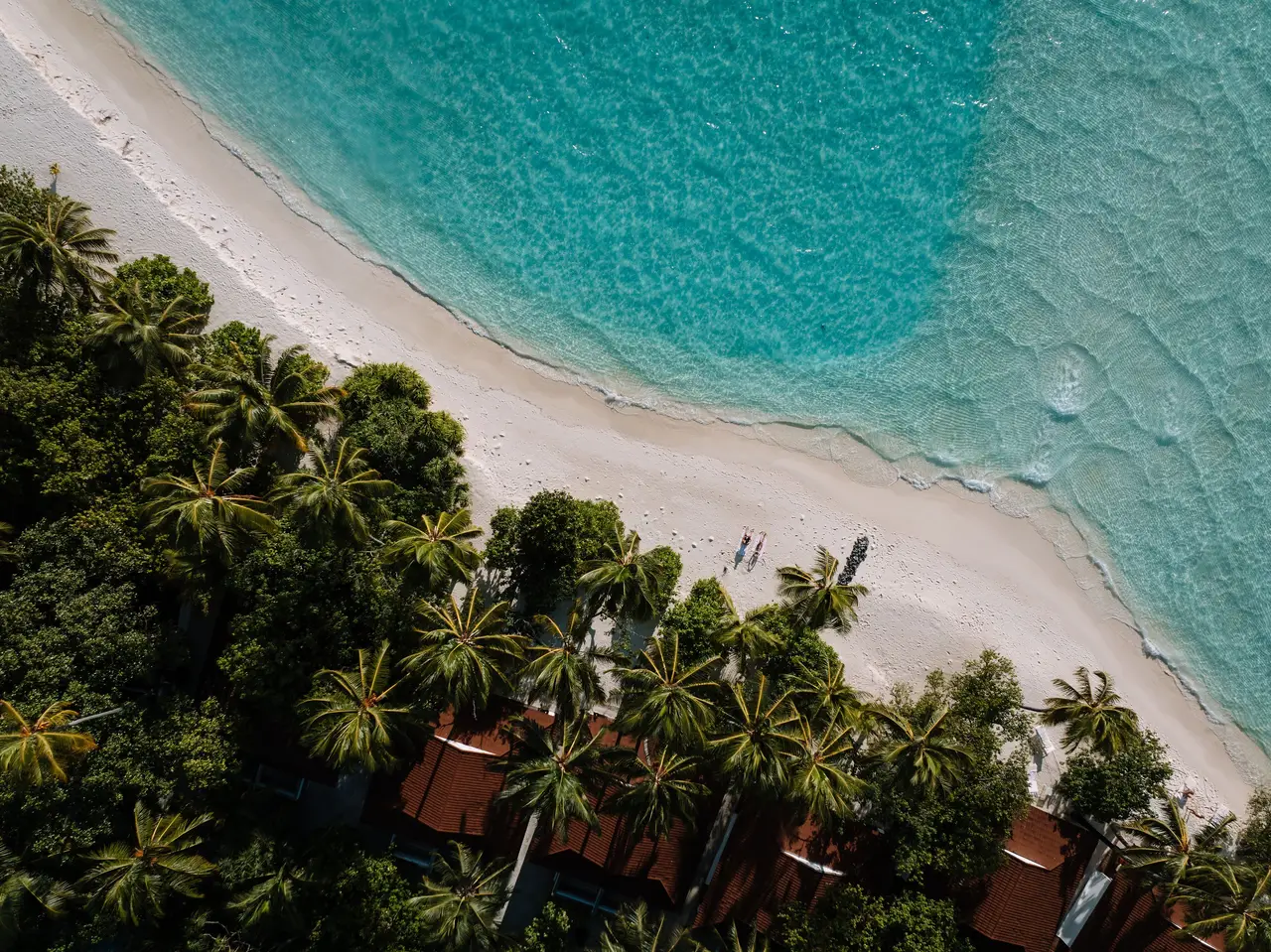 The beach and palms from above, villa roofs under the trees and the pale lagoon.