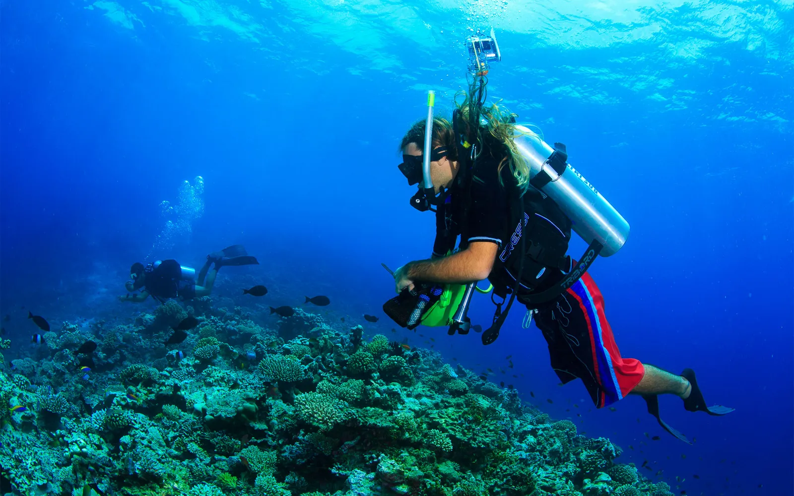A diver above the reef, among corals and fish, in blue water.