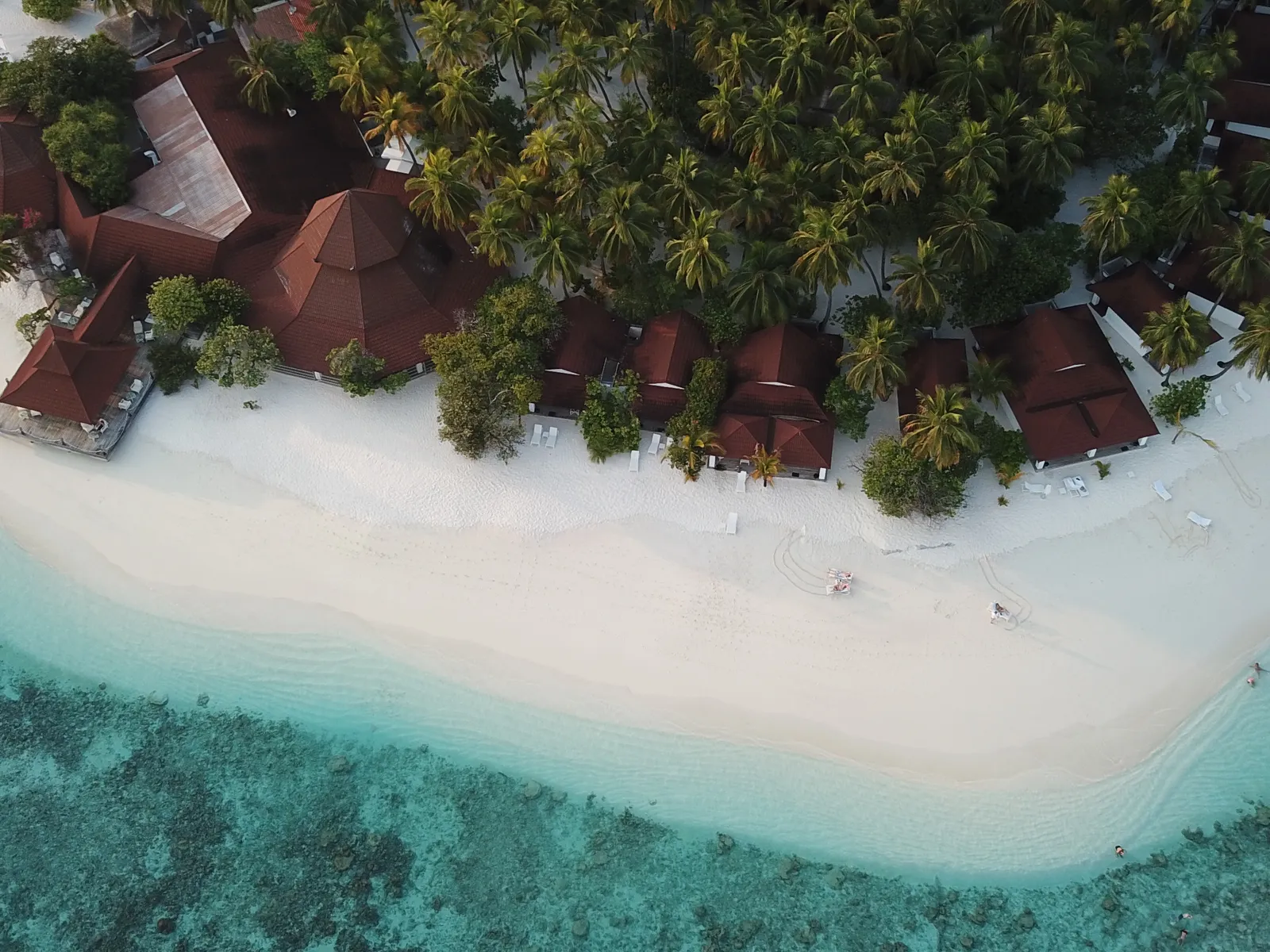 The beach villas from above, among the palms, along the sand spit and the lagoon.