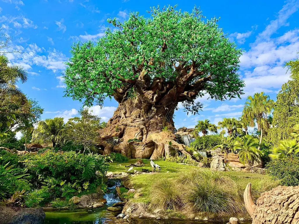 Disney’s Animal Kingdom Theme Park