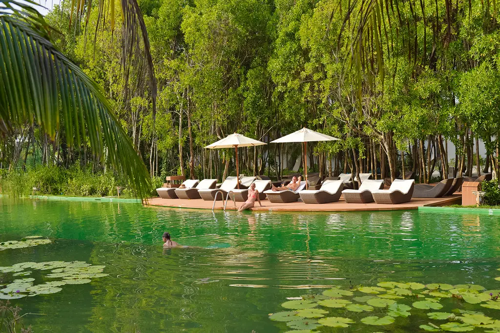The freshwater lake in the middle of the island: a man swims among the water lilies, with loungers and 2 parasols on the timber deck under the mangroves.