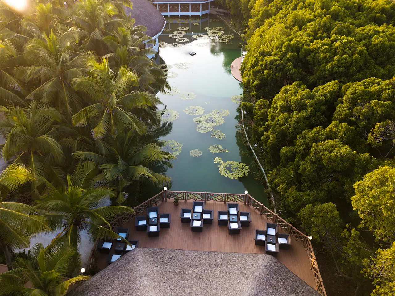 From above, the bar’s terrace with its square tables among the palms, over the green lake and its lilies.