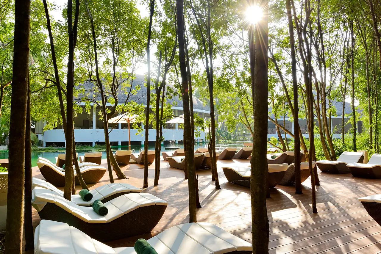 Loungers on the timber deck at the lake’s edge, in the shade of the trees, with the sun coming through the trunks.