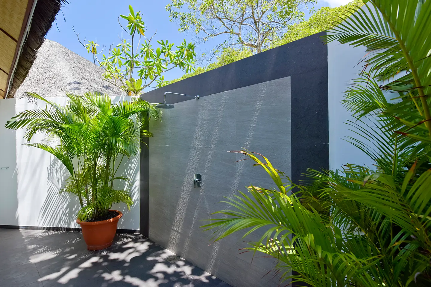 A beach bungalow’s outdoor shower against a grey wall, among potted palms and tropical plants.