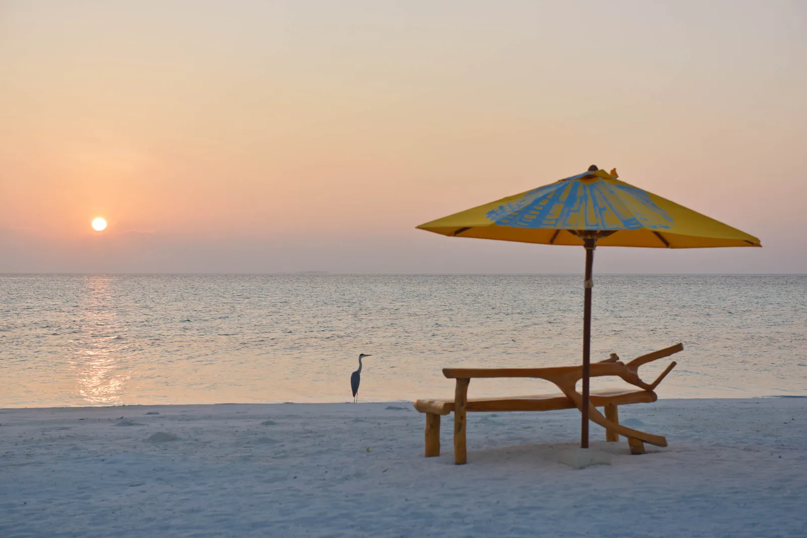 A wooden table under a parasol on the beach at sunset, a heron on the shoreline.