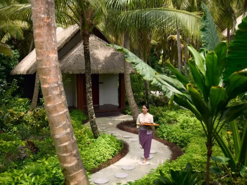 The Devarana path through palms and ferns, a therapist carrying a tray towards a thatched pavilion.