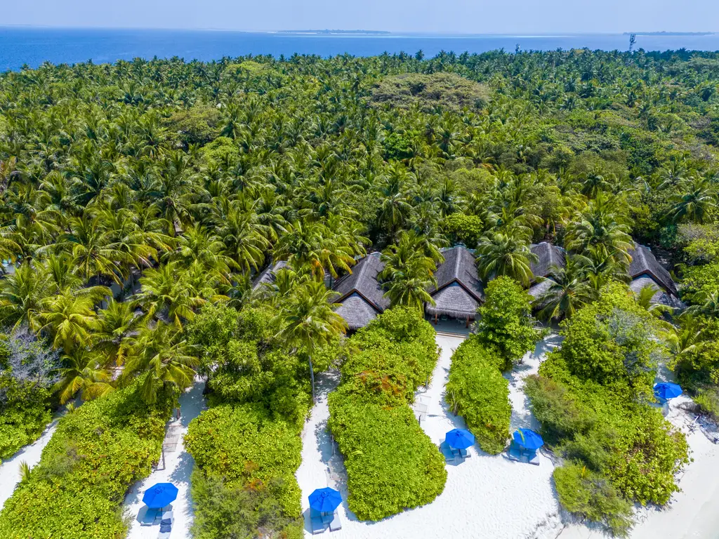 The beach villas from above, hidden among the palms, each with its own strip of sand and blue parasols.