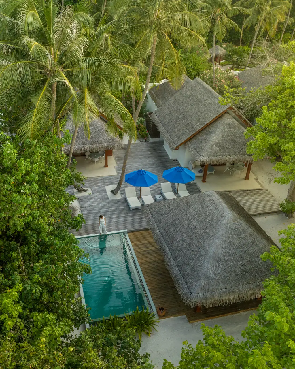 A pool villa from above, among the palms, a woman at the edge of the pool and 2 blue parasols.