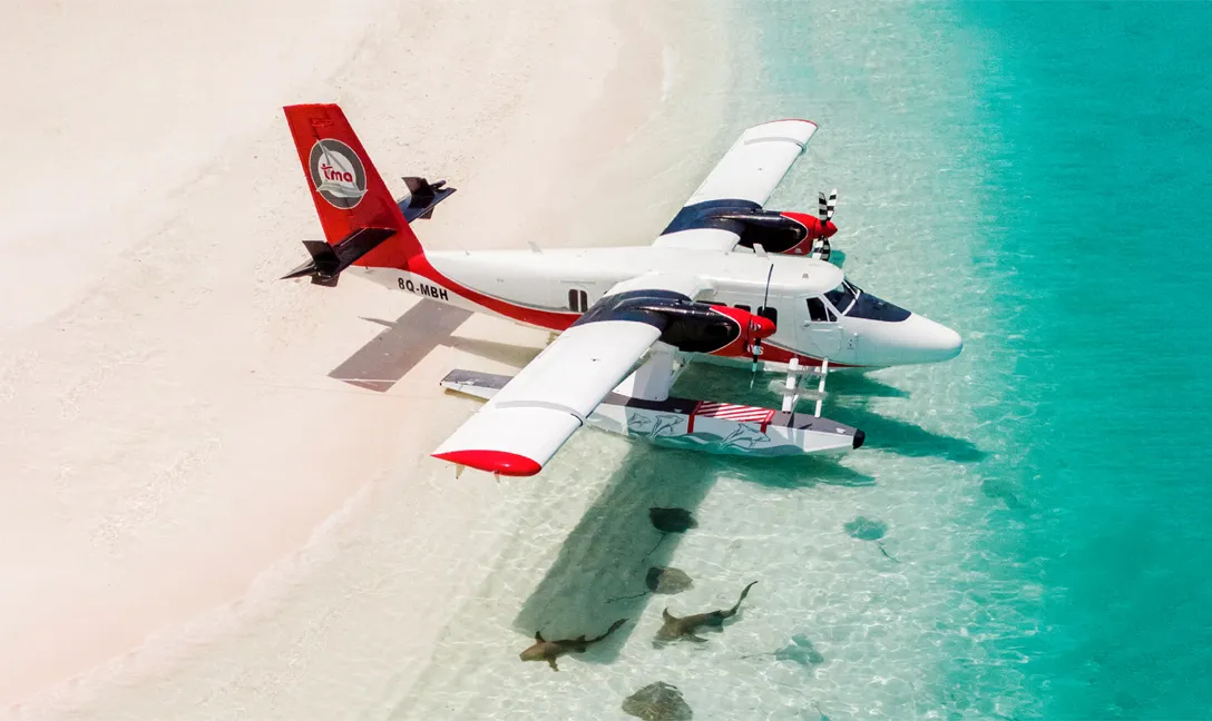 A seaplane moored in the shallow lagoon by the sand, a few nurse sharks beneath its floats.