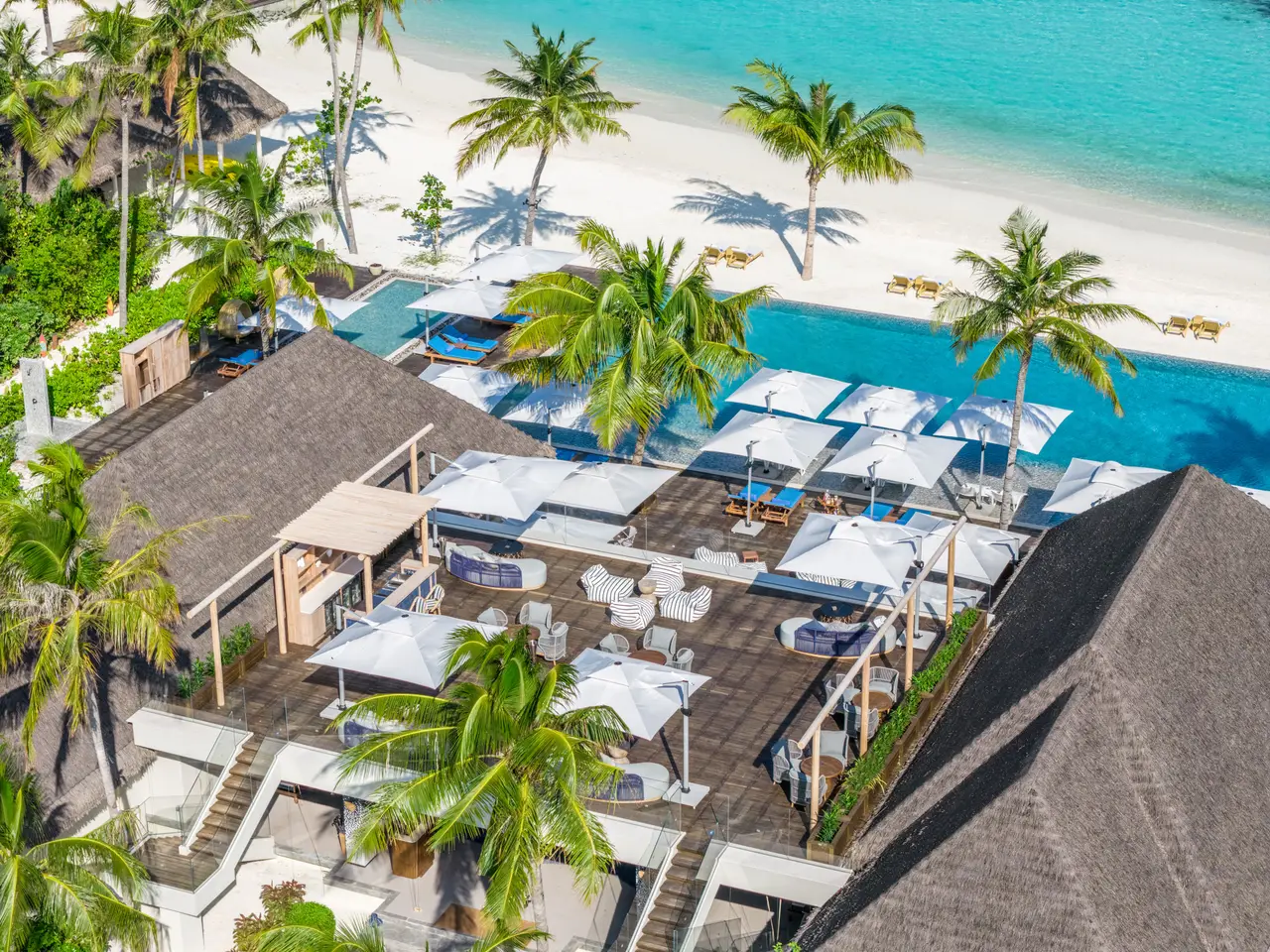 MIDI from above: the infinity pool and its loungers, parasols, palms and the white beach.