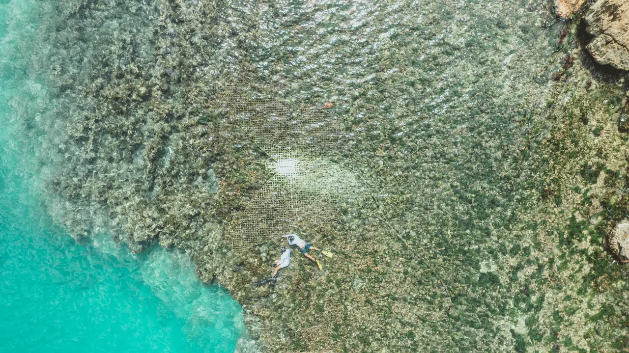 The coral reef from above in shallow turquoise water, with a swimmer at the surface.