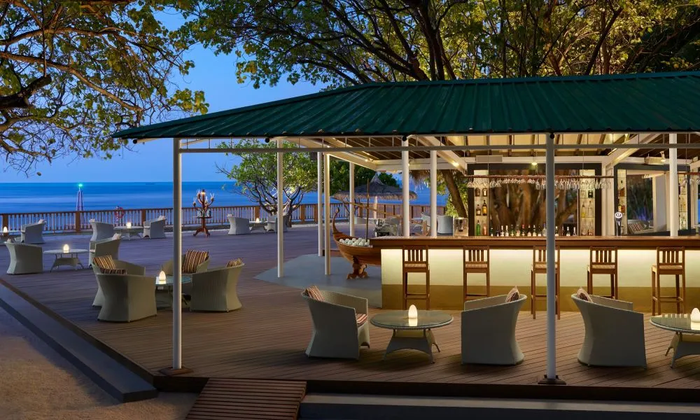 A bar on a wooden deck under the trees, the sea at dusk