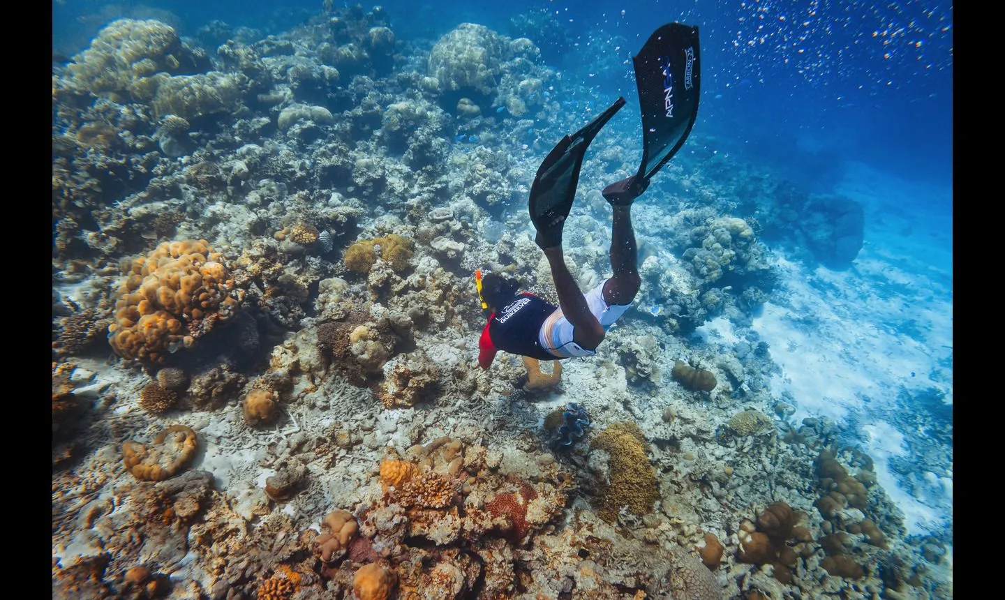 A freediver dropping down the reef in long fins