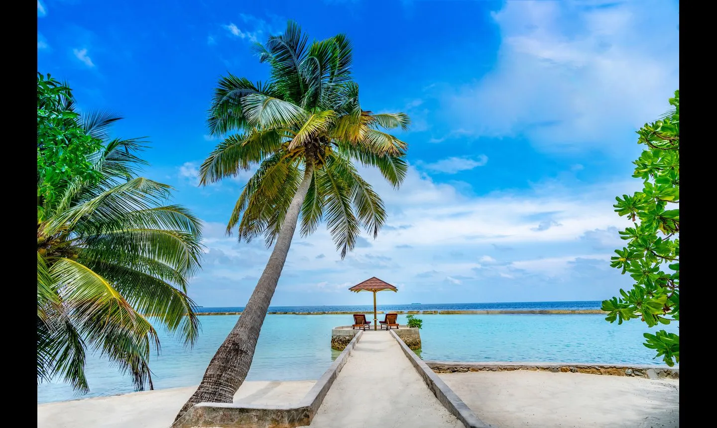 A palm bending over the beach, the jetty and the turquoise sea