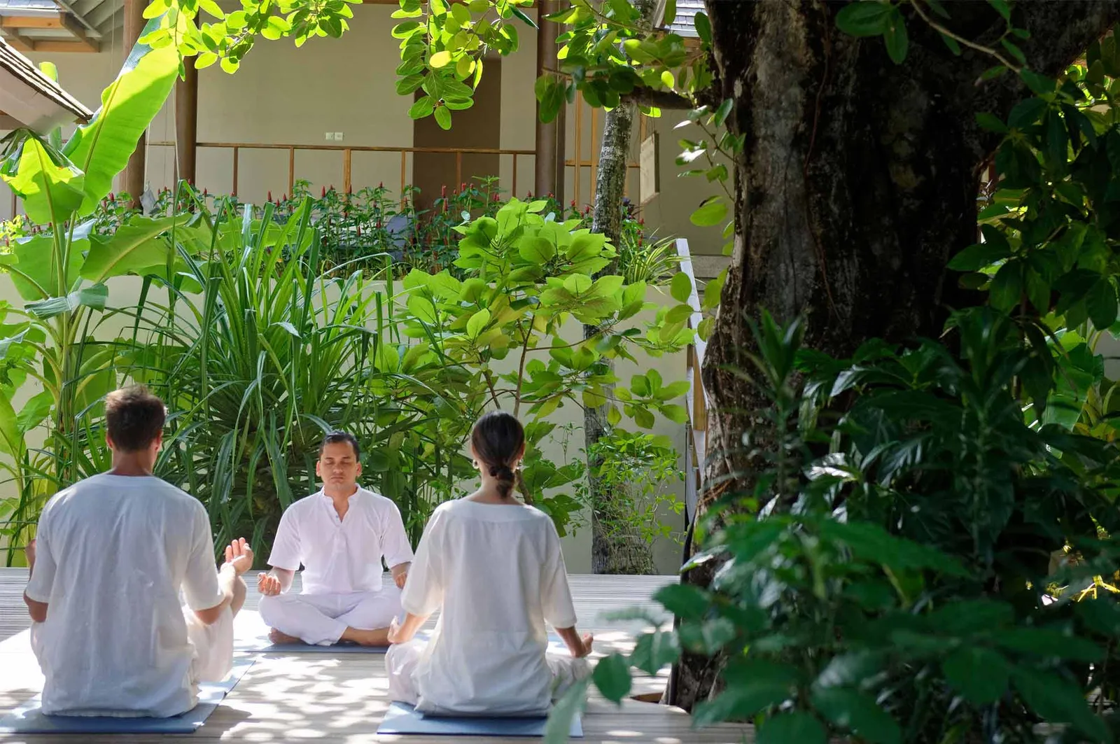 3 people dressed in white meditating on a timber platform among the plants of the spa garden.