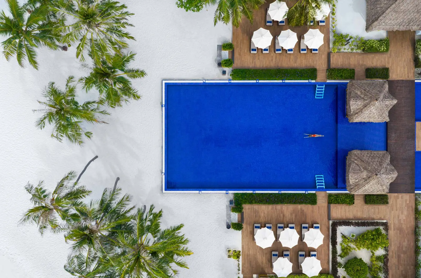 The main pool from above, long and blue among the palms, rows of loungers and parasols along its sides.