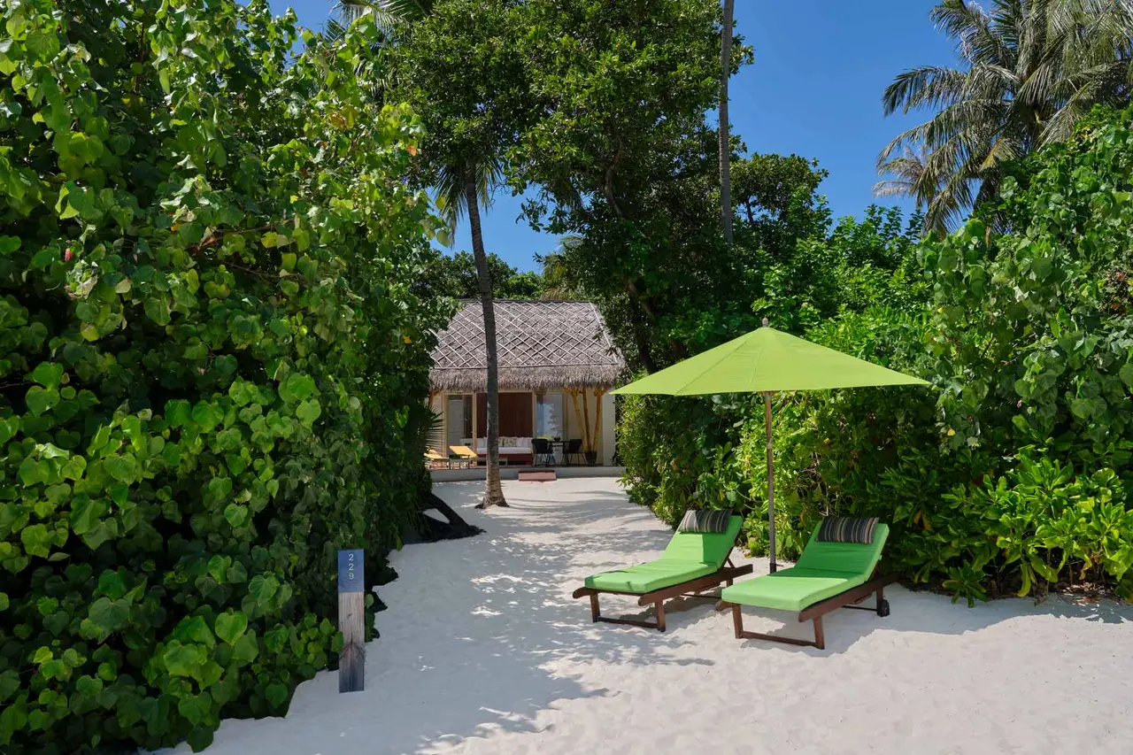 A Beach Villa’s garden: 2 green loungers under a parasol, the sand and the thatched villa among the trees.