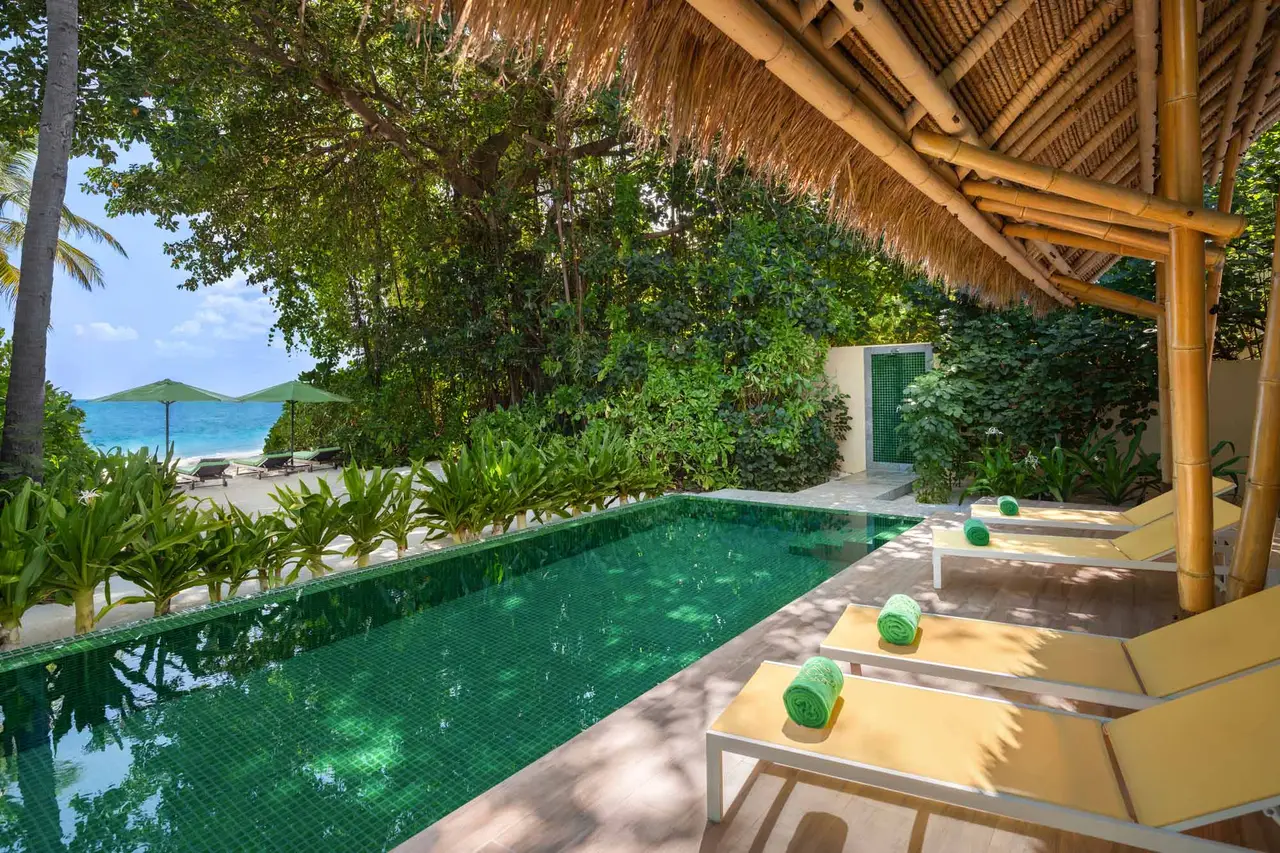 A Family Beach Villa’s pool, emerald green, with yellow loungers and the foliage around it.