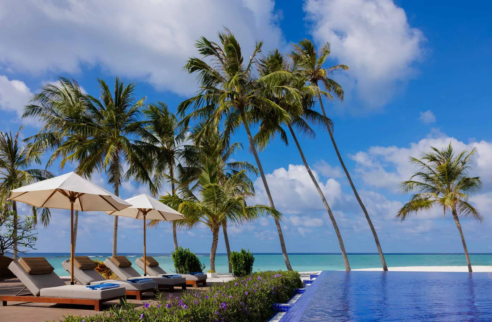The Sunset Pool Café’s infinity pool among the palms, with loungers, white parasols and the sea behind.