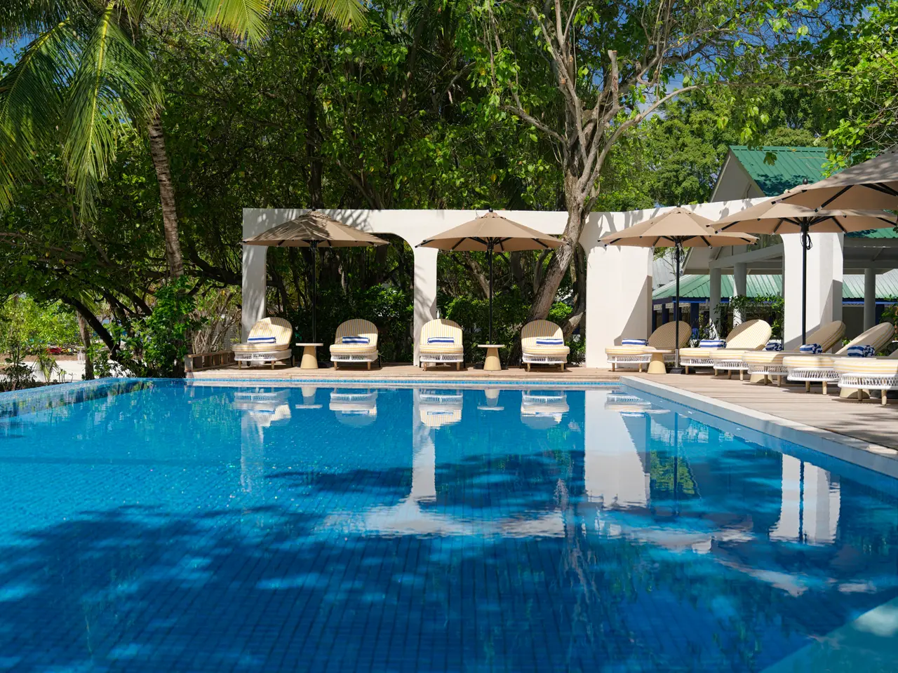The pool among the trees, with white loungers under parasols and the white pergola reflected in the water.