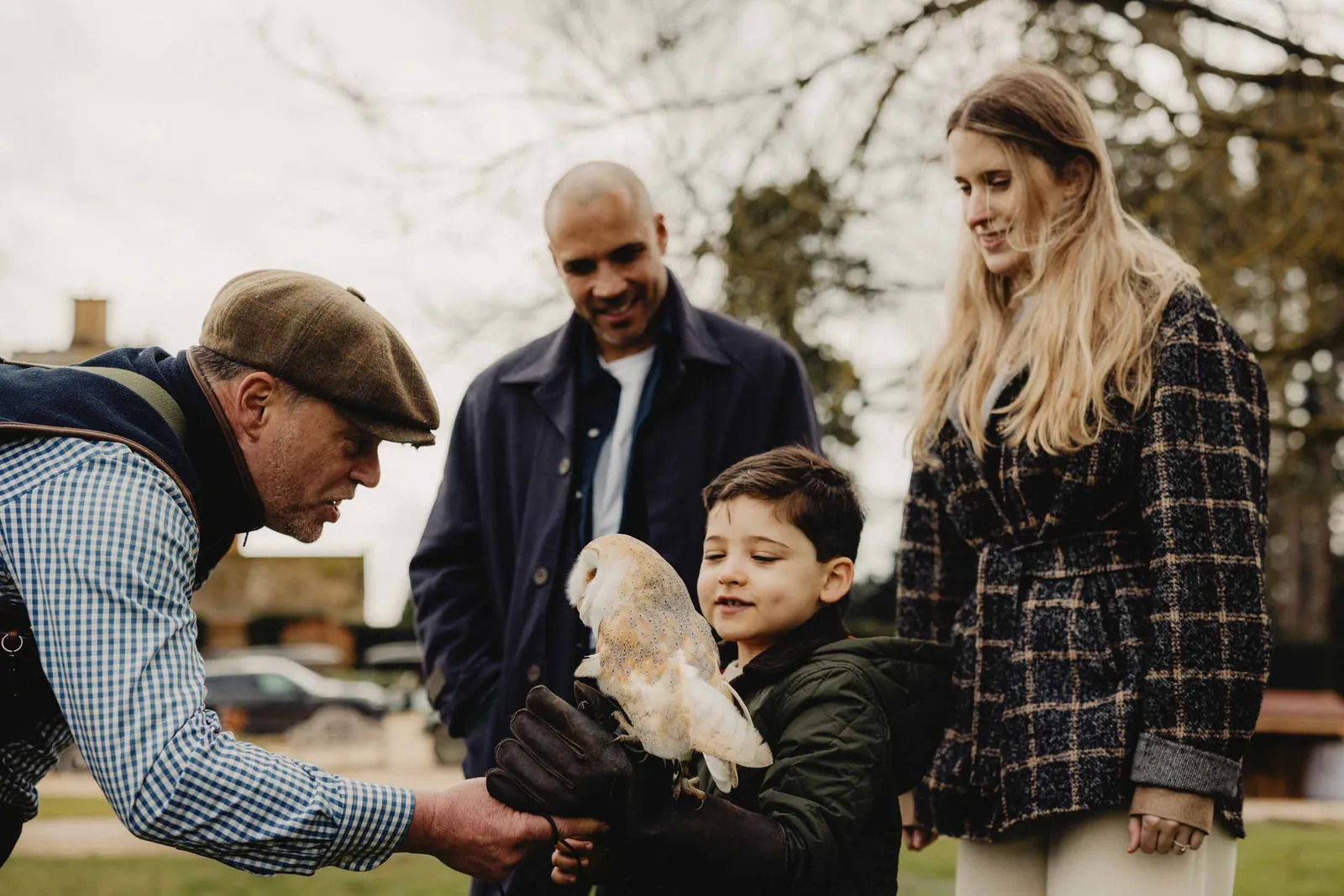 A falconer settles a barn owl on a child’s glove