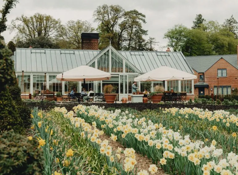 The Glasshouse in the Walled Garden, with umbrellas and a bed of daffodils in spring