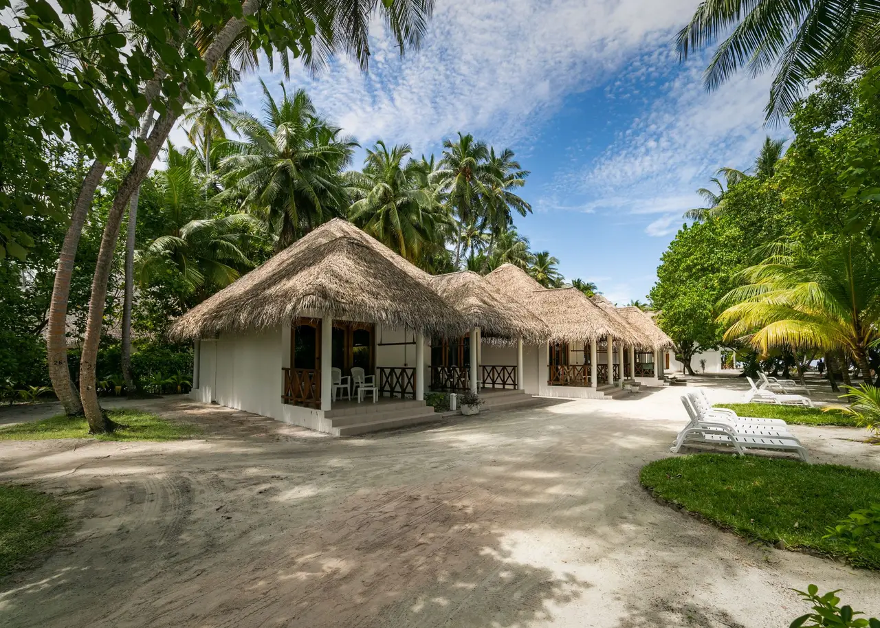 The Premium Beach rooms in a row on the sand, with thatched roofs, verandas and palms around them.