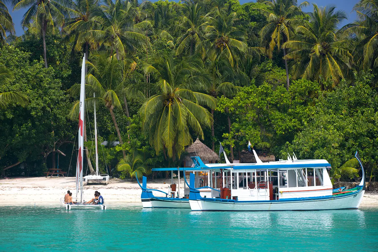 A white and blue dhoni moored off the beach, with a catamaran drawn up on the sand and palms behind.