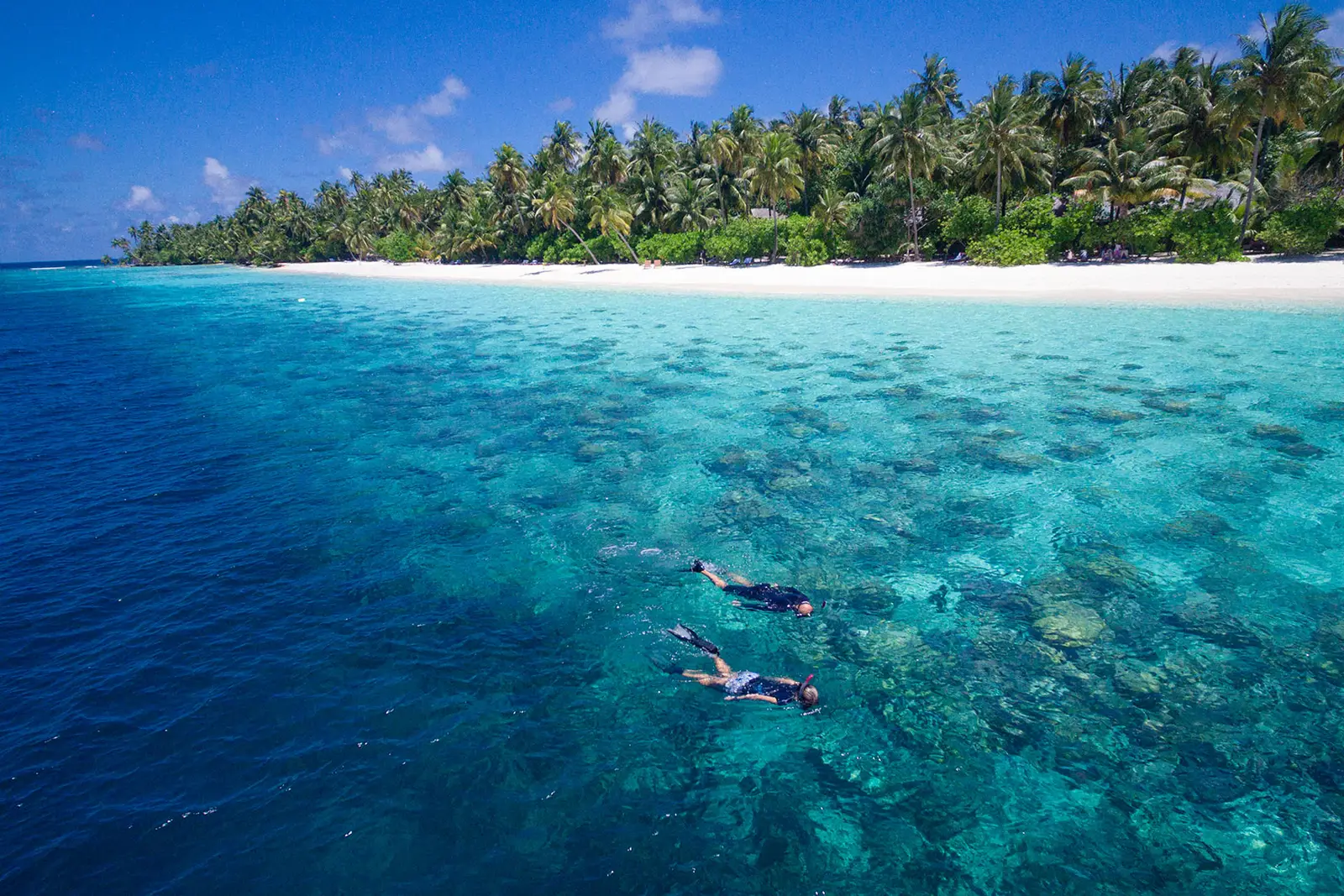 2 people snorkelling over the dark patches of the reef, seen from above, with the green island and its beach behind.