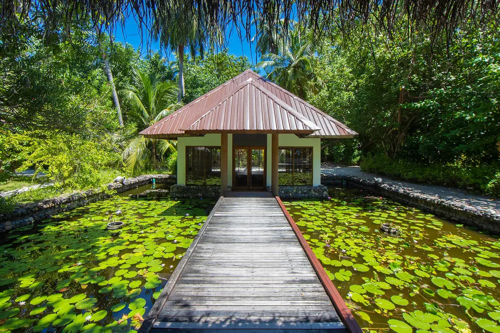 A wooden walkway crosses a lily pond to a pavilion with a pitched roof, among the palms.