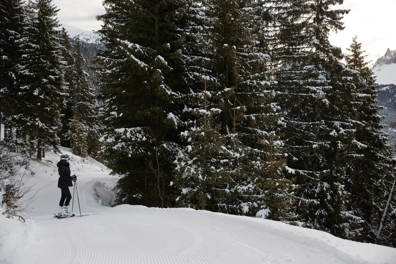 A skier standing on the groomed piste that runs through a forest of snow-laden firs.