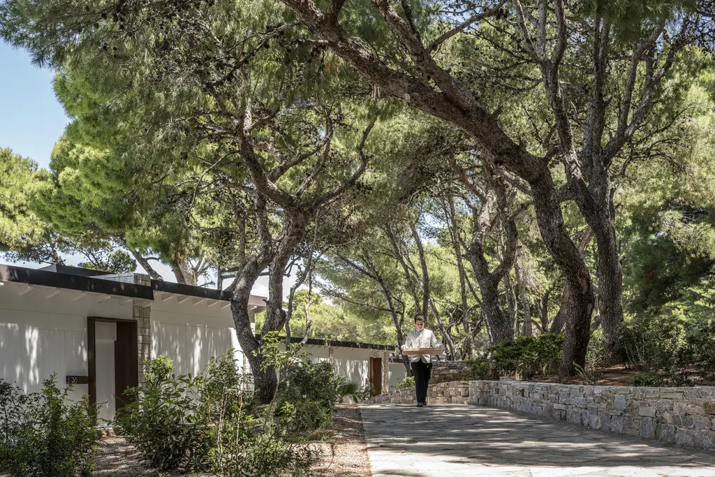 The lane between the bungalows in the shade of tall pines, a waiter walking along the low stone wall.