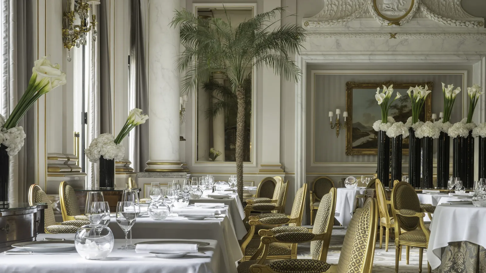 The Le Cinq dining room with laid tables and tall windows