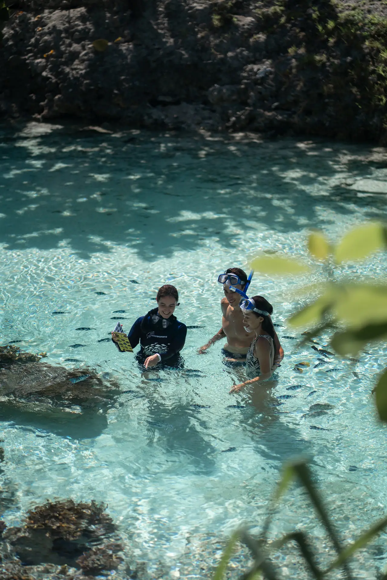 A guide and 2 guests snorkelling in clear shallow water among the fish