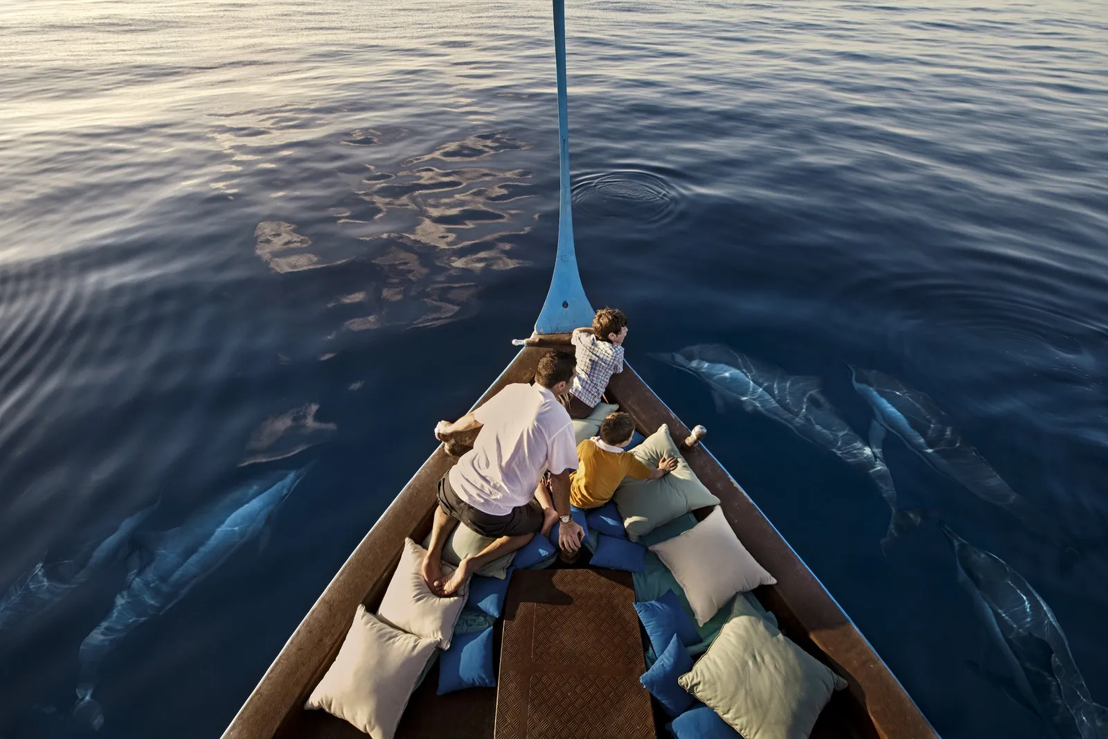 The prow of a dhoni with a family aboard and dolphins swimming alongside