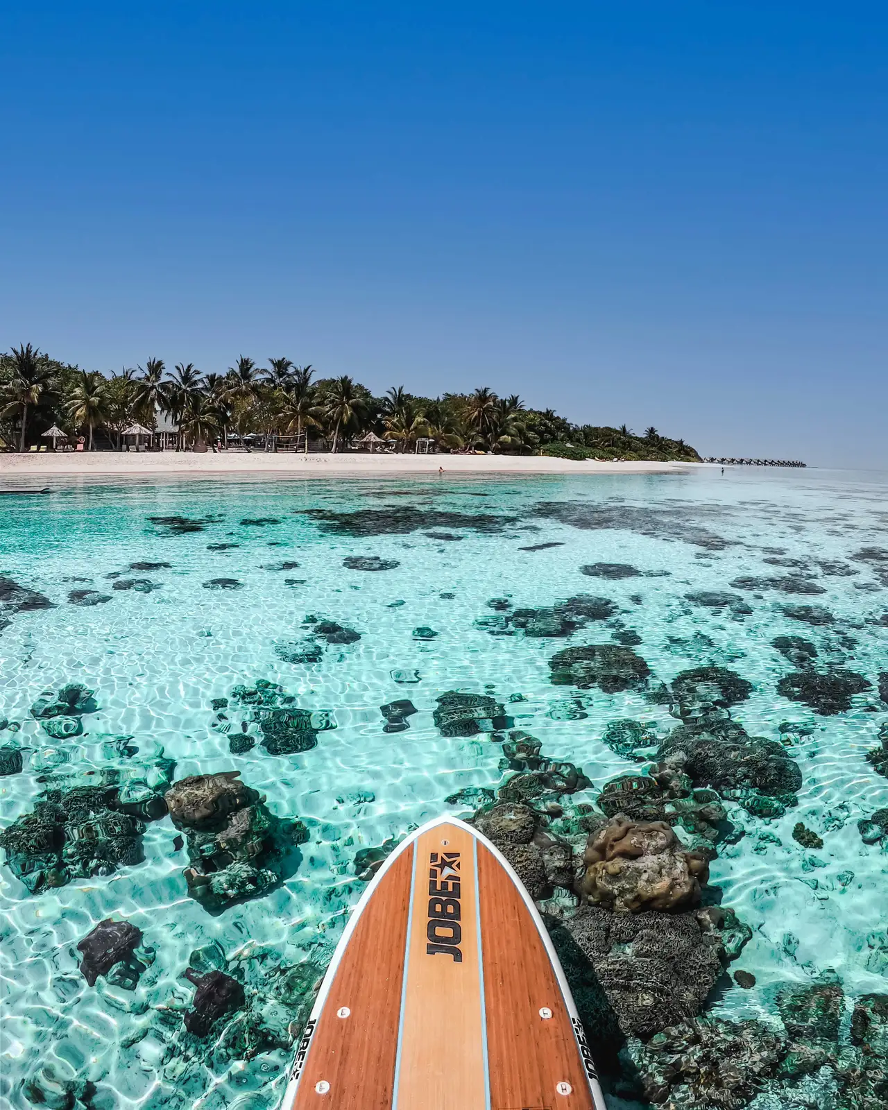 Coral under clear shallow water, the nose of a paddleboard and the island behind