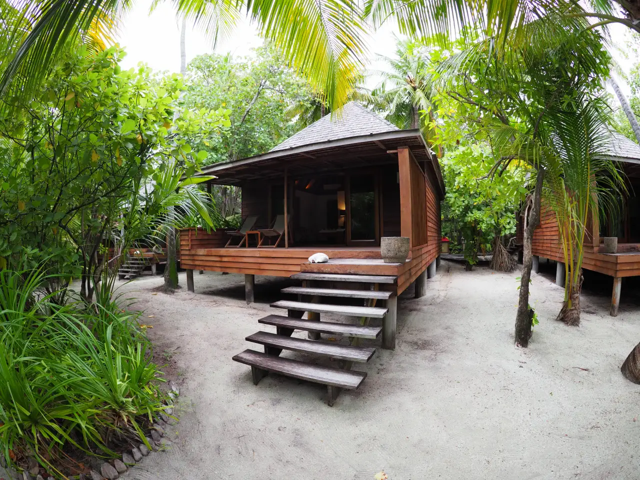 A timber villa among the palms and ferns, its steps running down to the sand.