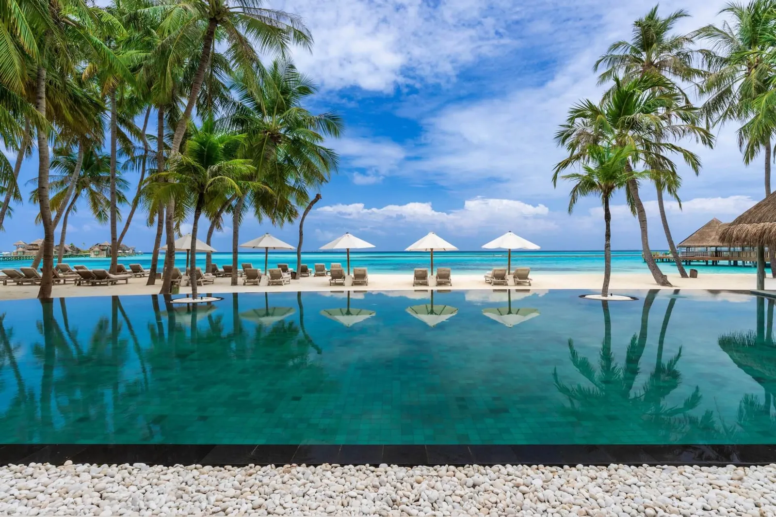 The infinity pool on the beach, with white umbrellas and palms