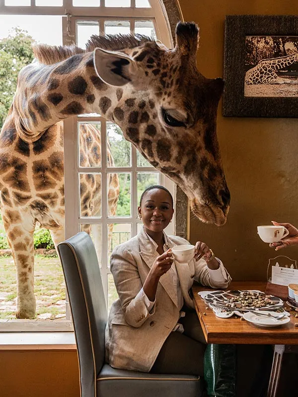 A giraffe stretches its neck over the breakfast table, among cups and saucers