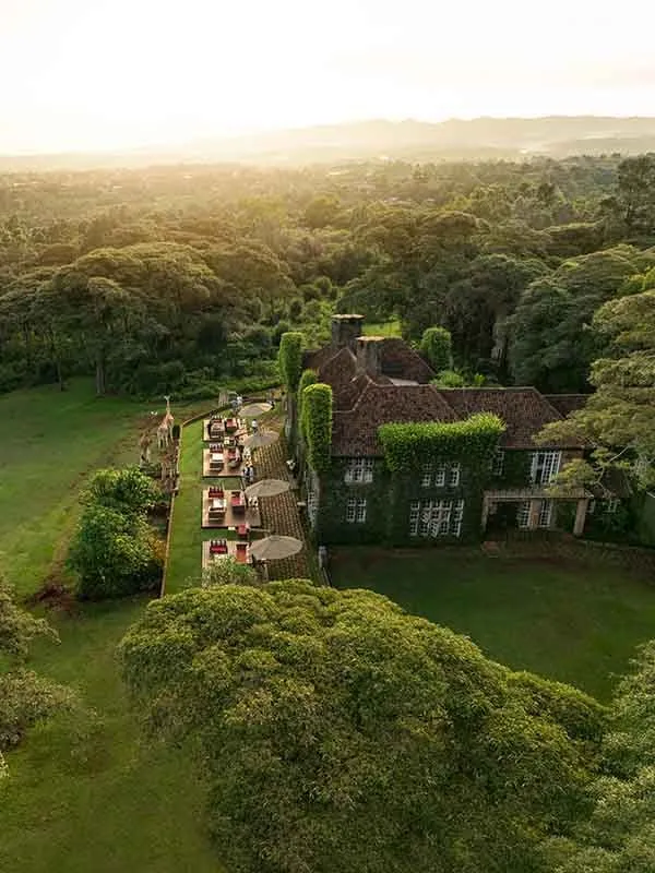 Tea on the lawn from above, the house among the sanctuary’s trees
