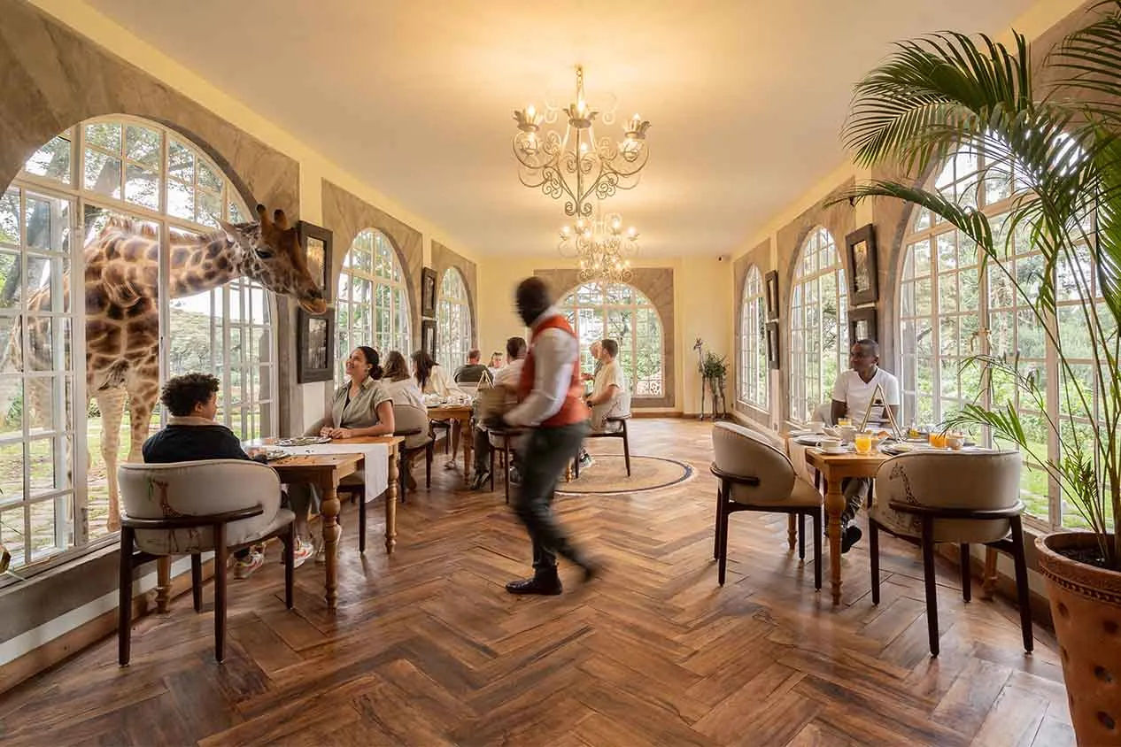 The breakfast room, its arched windows and chandelier, with a giraffe leaning in