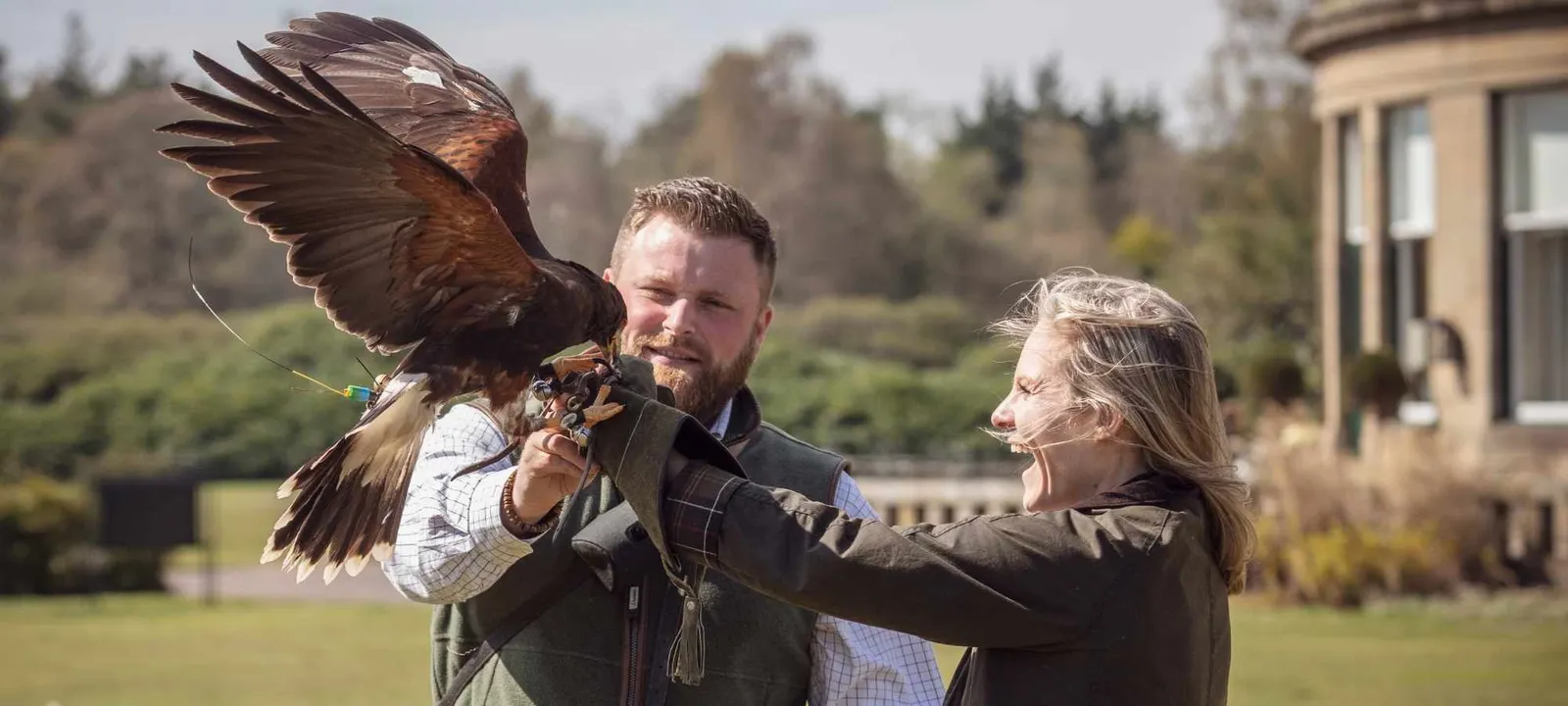 A falconer with a hawk on his glove, wings spread, in front of the hotel