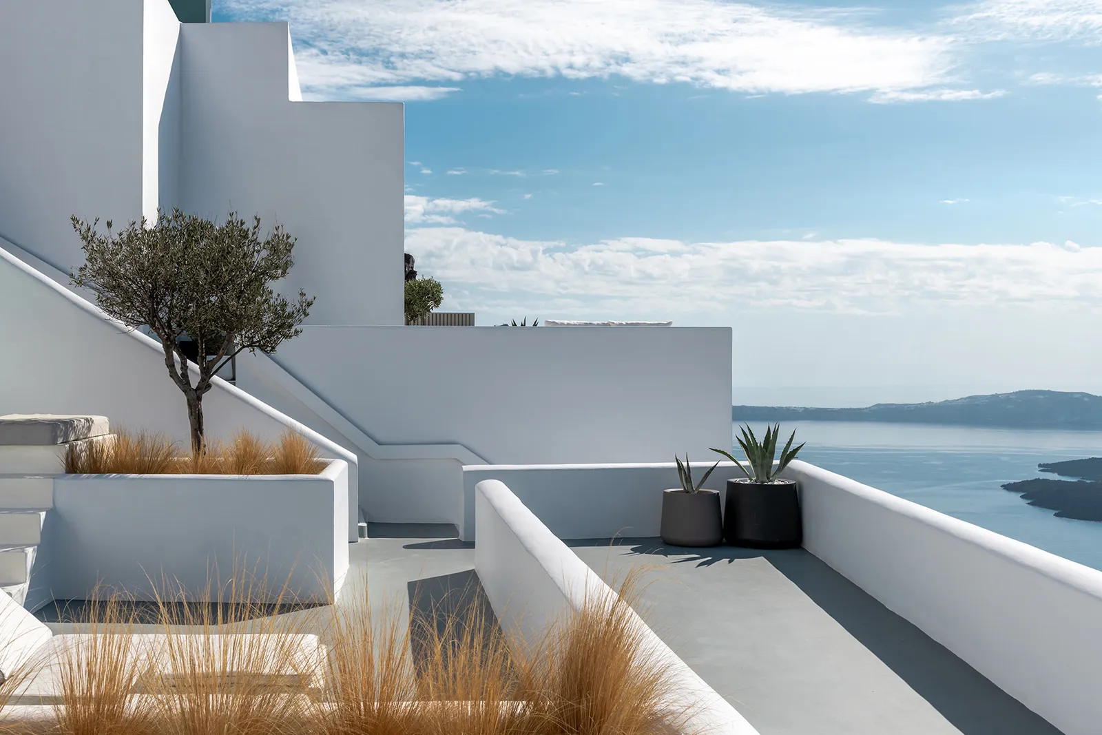 The hotel’s white terraces with an olive tree, grasses in the planters and the staircase climbing between the walls, above the sea.