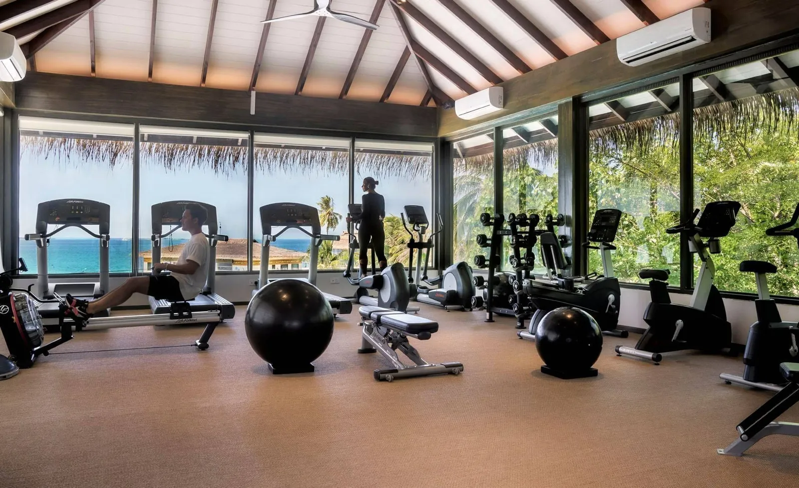 The gym, its windows onto the greenery, the treadmills and machines, and a woman running.