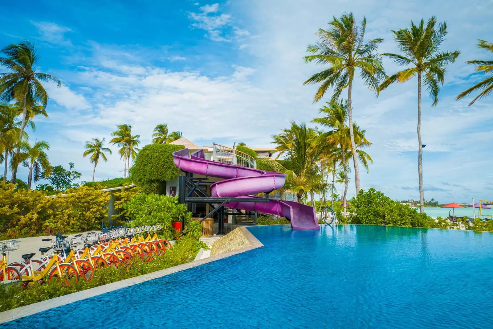 The infinity pool and its purple waterslide among the palms