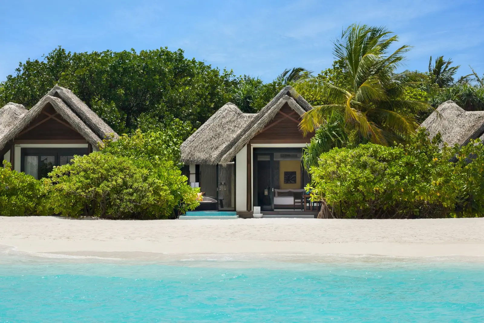 Villa, pool edge and beach among palms