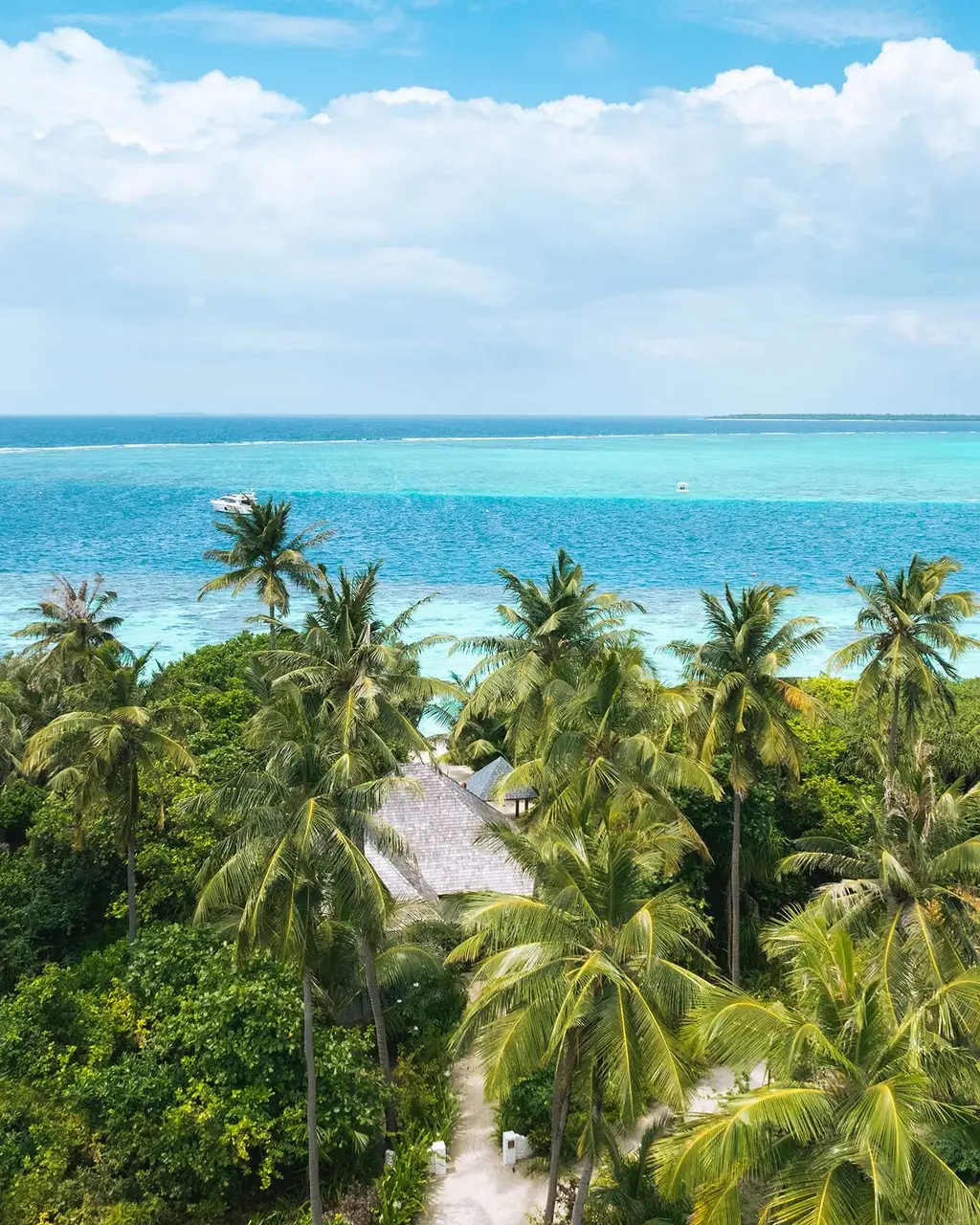 Thatched beach villa roof among tall palms with ocean behind.